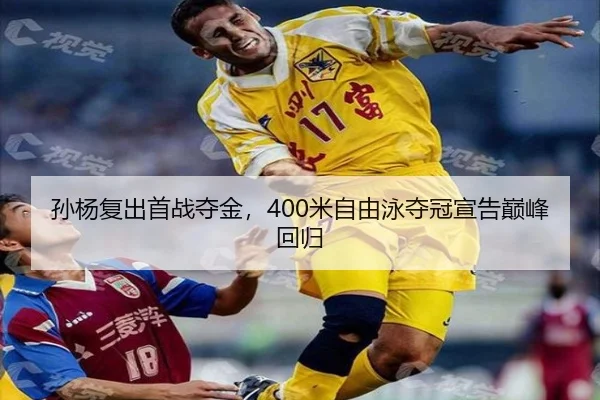sun-yang-fu-chu-shou-zhan-duo-jin-mi-zi-you-yong-duo-guan-xuan-gao-dian-feng-hui-gui-2-334.jpg
