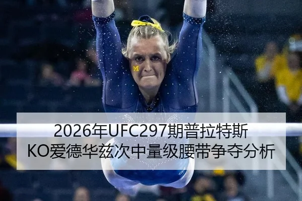 nian-qi-pu-la-te-si-ai-de-hua-zi-ci-zhong-liang-ji-yao-dai-zheng-duo-fen-xi-2-249.jpg